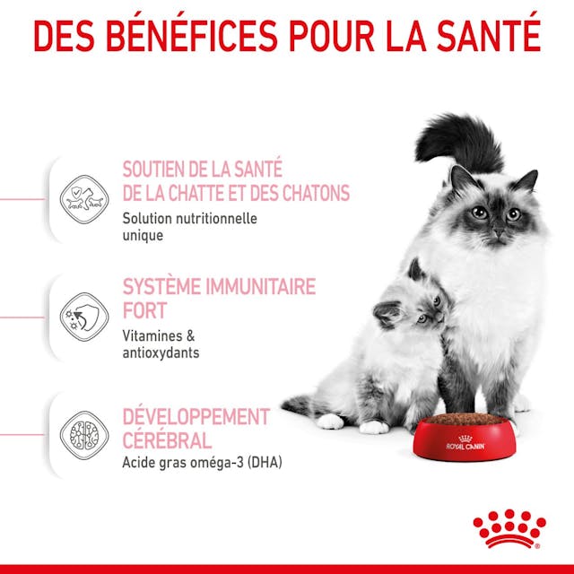 ROYAL CANIN - CROQUETTES MOTHER & BABYCAT 2KG