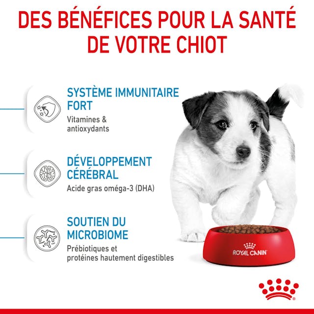 ROYAL CANIN - CROQUETTE POUR CHIEN PUPPY MINI