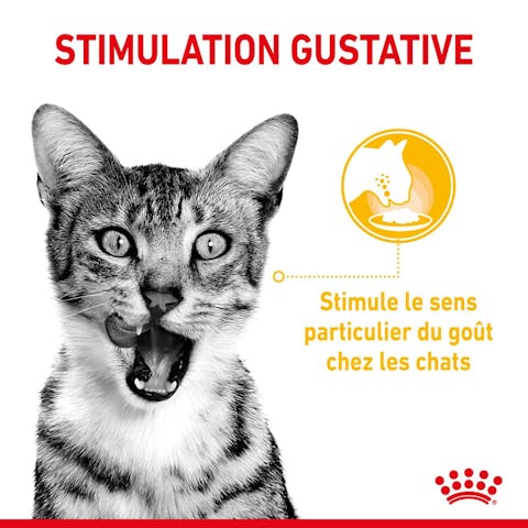 ROYAL CANIN - SAUCE POUR CHAT SENSORY TASTE  85G