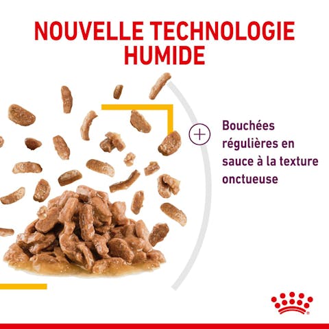 ROYAL CANIN - SAUCE POUR CHAT SENSORY TASTE  85G