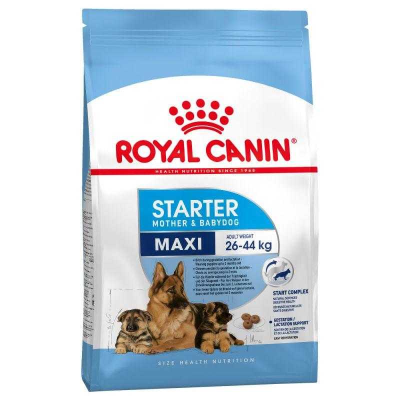 ROYAL CANIN CHIEN MAXI STARTER MOTHER & BABYDOG POUR CHIOT 4 KG