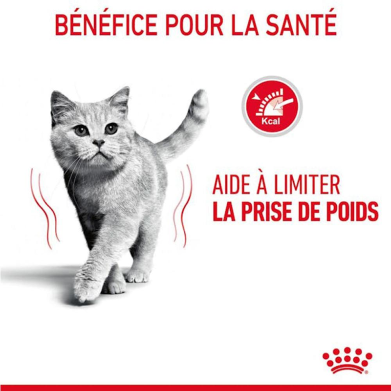 ROYAL CANIN - POCHON  LIGHT WEIGHT GELEE 85G
