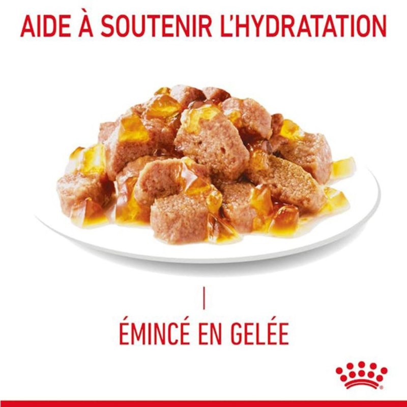 ROYAL CANIN - POCHON  LIGHT WEIGHT GELEE 85G