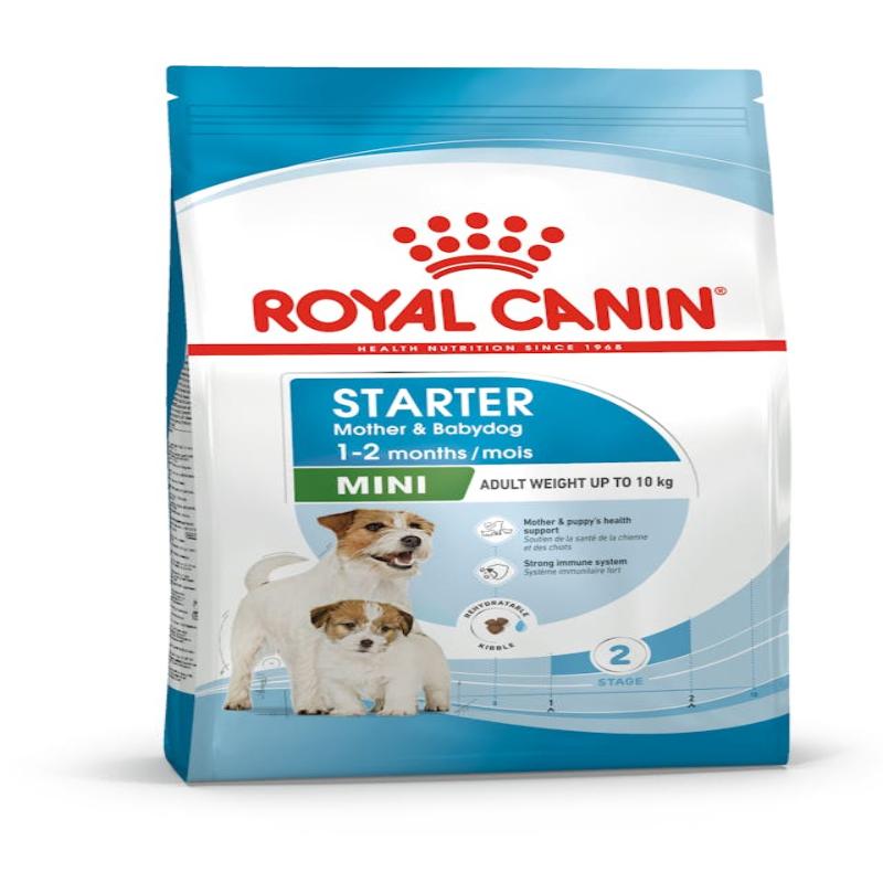 ROYAL CANIN - CROQUETTE MINI STARTER MOTHER & BABY