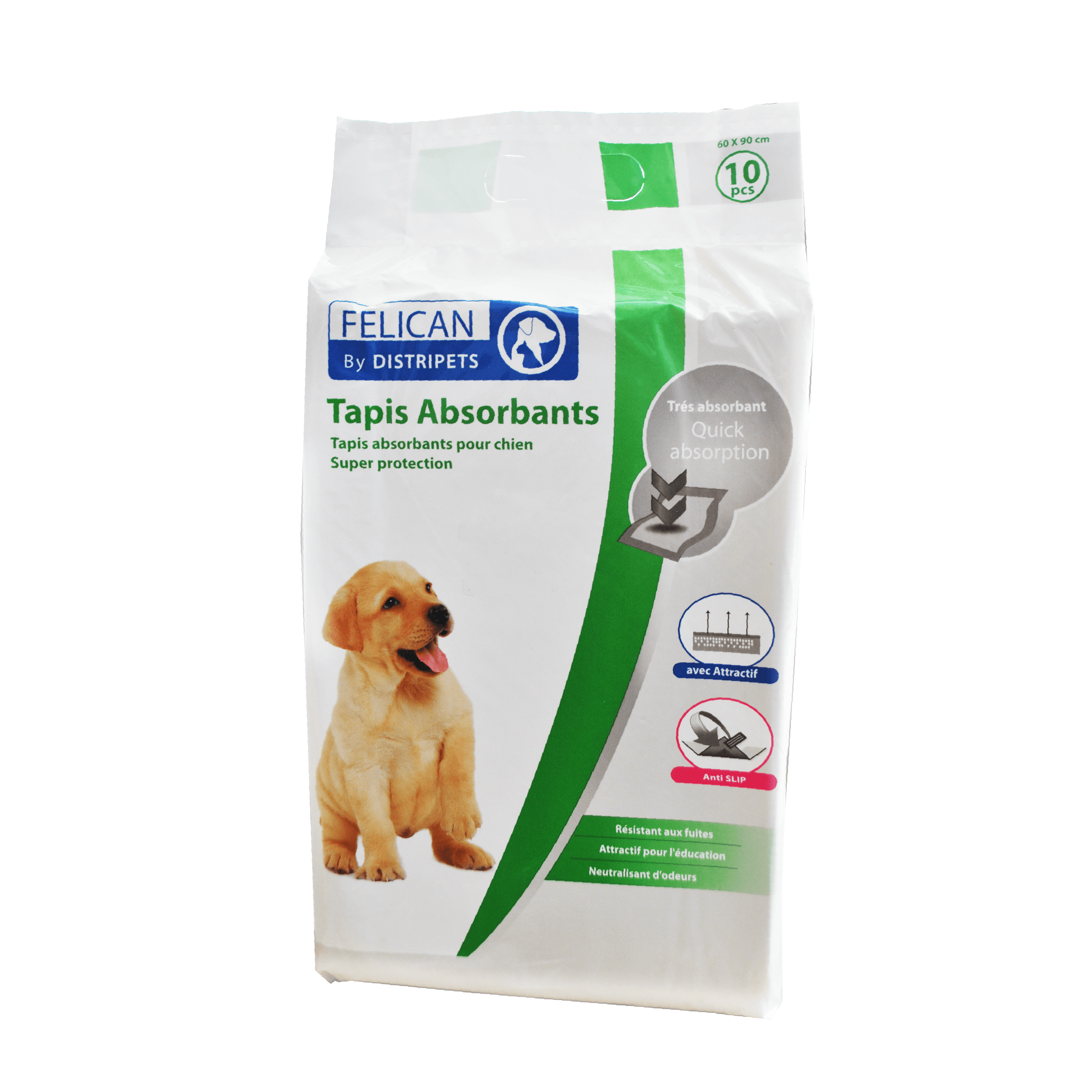 FELICAN - TAPIS EDUCATEUR  60*60 CM 10 PCS