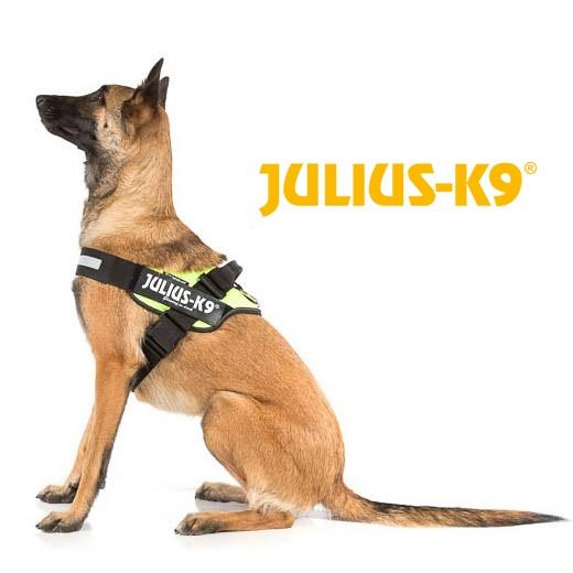 JULIUS-K9 HARNAIS POUR CHIEN EN NOIR